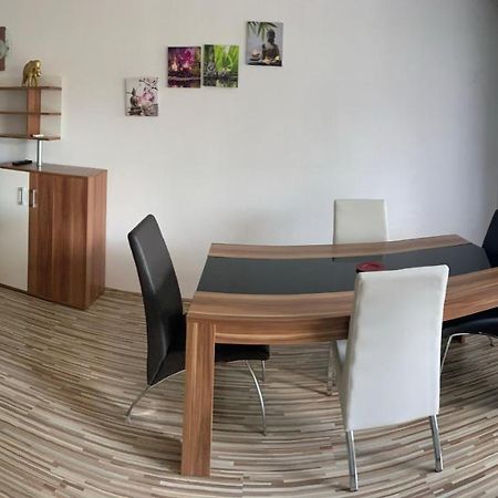 Grosse Und Helle Ferien Wohnung Mit Parkplatzen Лауфенбург Экстерьер фото